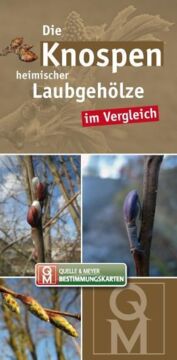 Bestimmungskarte - Die Knospen heimischer und kultivierter Laubgehölze im Vergleich