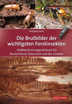 Die Brutbilder der wichtigsten Forstinsekten, Buchcover