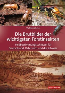 Die Brutbilder der wichtigsten Forstinsekten, Buchcover