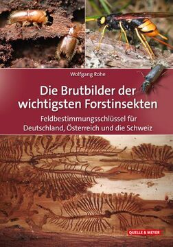 Die Brutbilder der wichtigsten Forstinsekten, Buchcover