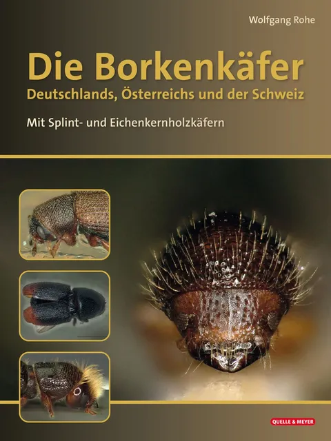 Die Borkenkäfer Deutschlands, Österreichs und der Schweiz, Buchcover