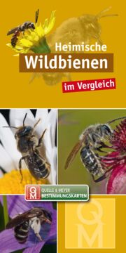 Gelbes Buchcover mit 3 Fotos von Wildbienen