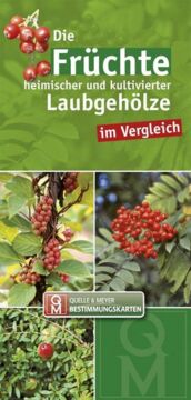 Bestimmungskarte - Die Früchte heimischer Laubgehölze im Vergleich, Cover