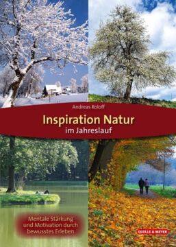 Ein verschneiter Baum in ländlciher Gegend, ein blühender Baum am Hang, ein grüner Baum am See unter dem jemand liegt, bunte Bäume im herbst an einem WEg mit buntem Laub und zwei Spaziergänger:innen.