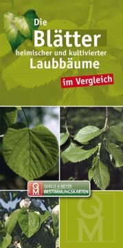 Bestimmungskarte - Die Blätter heimischer und kultivierter Laubbäume im Vergleich, Buchcover